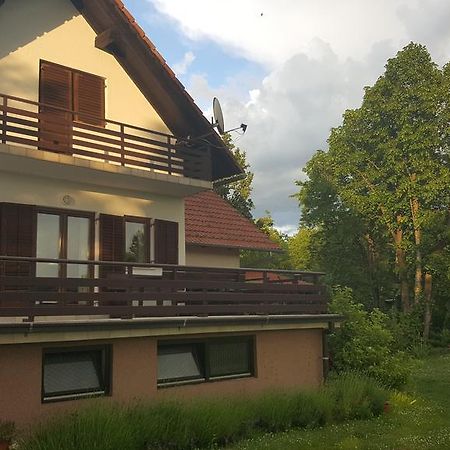 Appartamento House Tudic Drežnik Grad Esterno foto