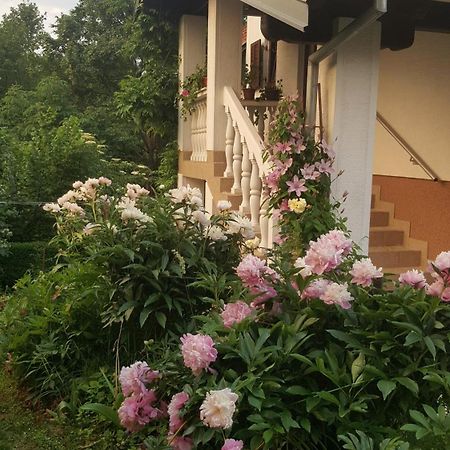 Appartamento House Tudic Drežnik Grad Esterno foto