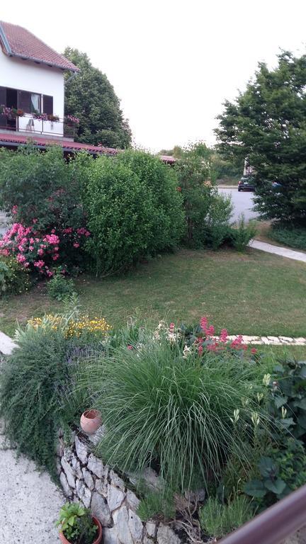 Appartamento House Tudic Drežnik Grad Camera foto