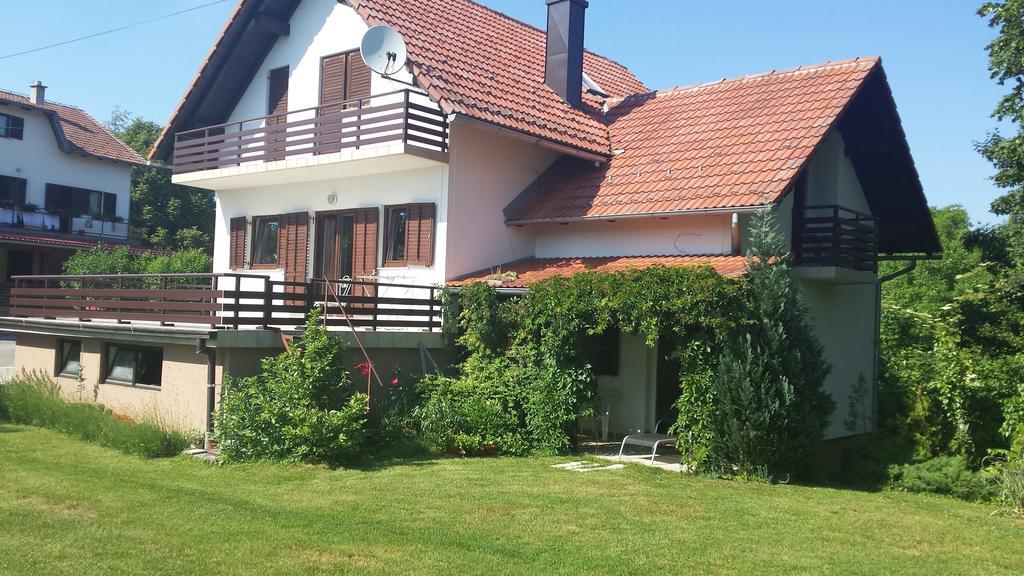 Appartamento House Tudic Drežnik Grad Camera foto