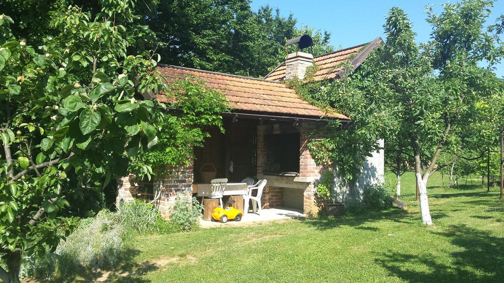 Appartamento House Tudic Drežnik Grad Camera foto