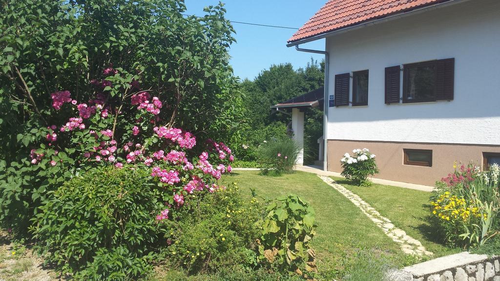 Appartamento House Tudic Drežnik Grad Camera foto