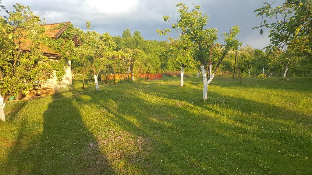 Appartamento House Tudic Drežnik Grad Esterno foto