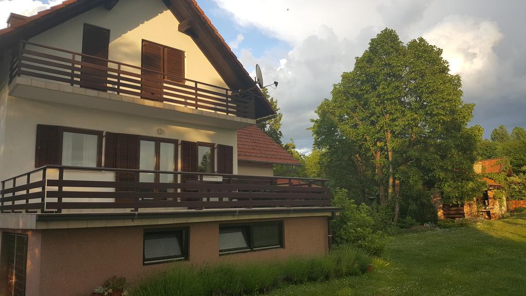 Appartamento House Tudic Drežnik Grad Esterno foto