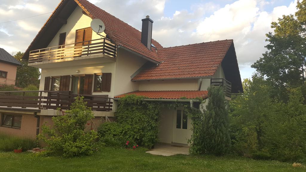 Appartamento House Tudic Drežnik Grad Esterno foto
