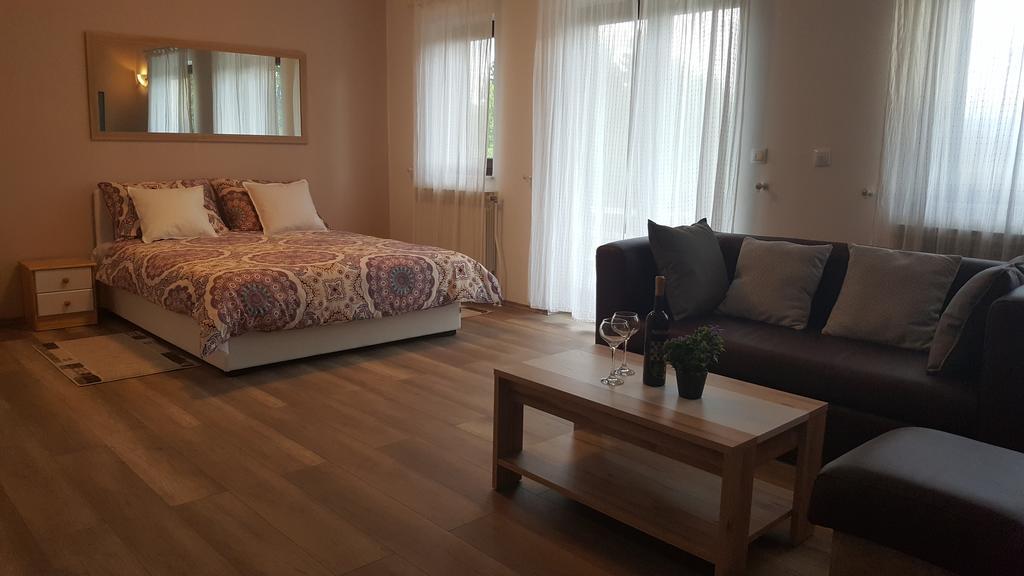 Appartamento House Tudic Drežnik Grad Esterno foto