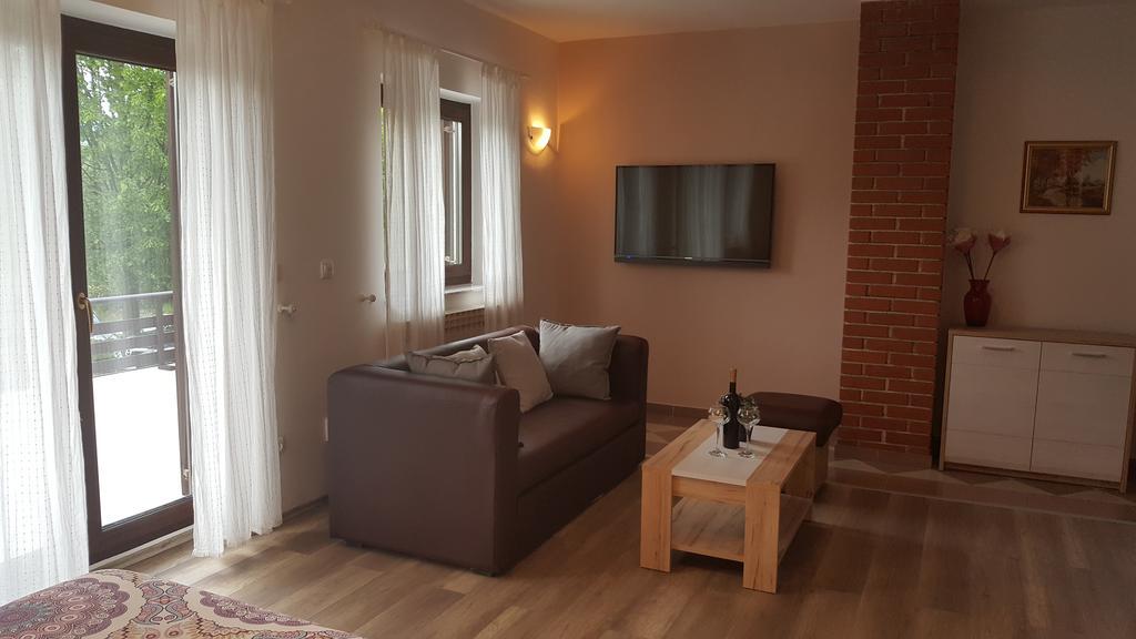 Appartamento House Tudic Drežnik Grad Esterno foto