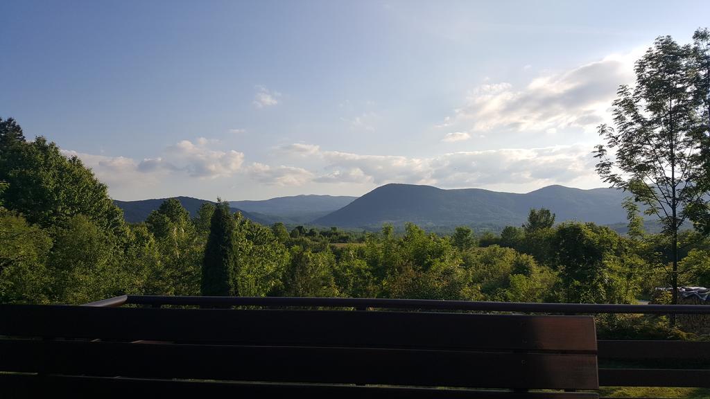 Appartamento House Tudic Drežnik Grad Esterno foto