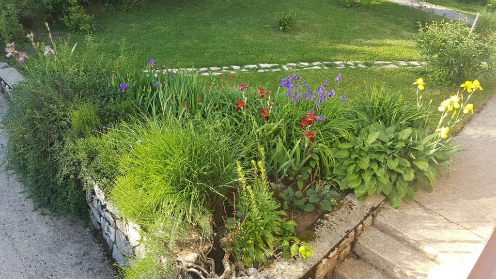 Appartamento House Tudic Drežnik Grad Esterno foto