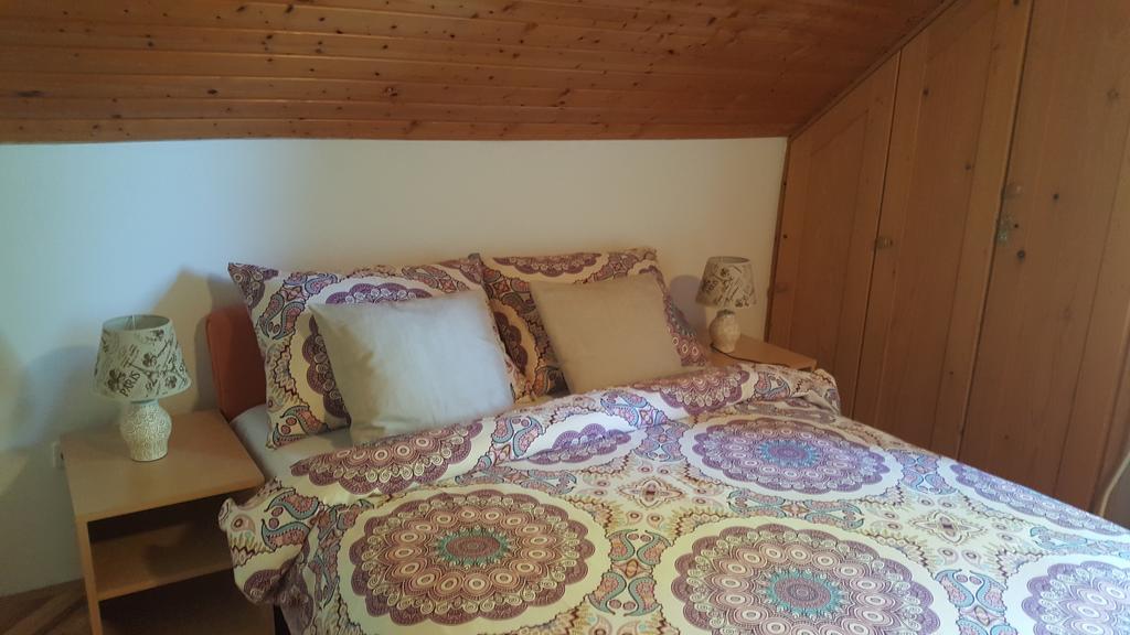 Appartamento House Tudic Drežnik Grad Esterno foto