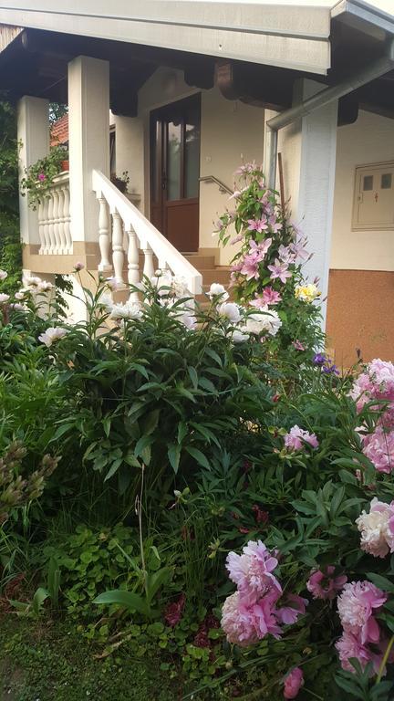 Appartamento House Tudic Drežnik Grad Esterno foto