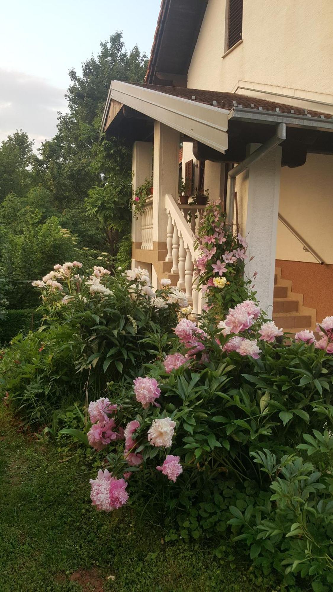 Appartamento House Tudic Drežnik Grad Esterno foto