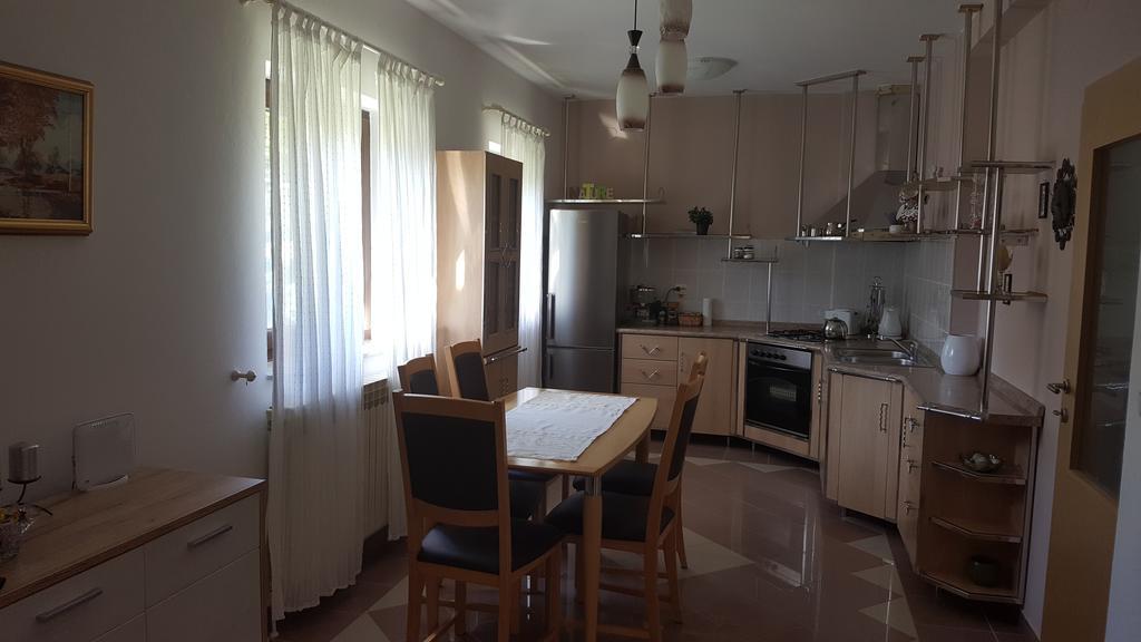 Appartamento House Tudic Drežnik Grad Esterno foto