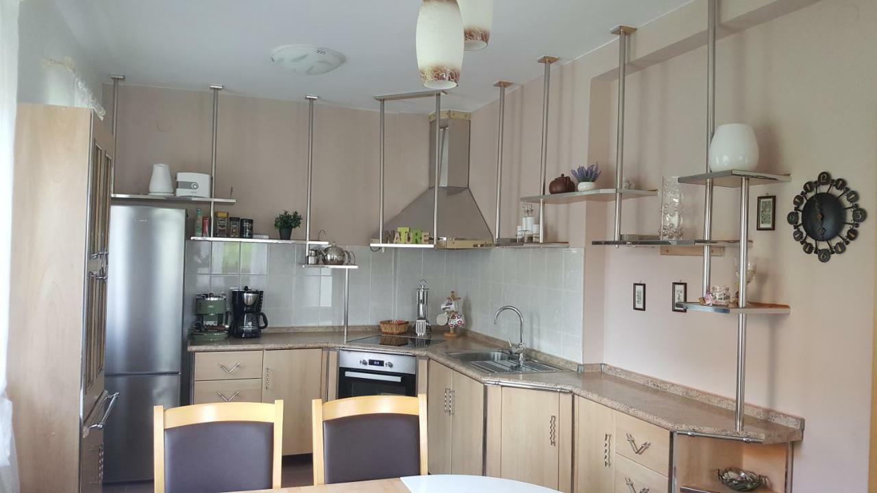 Appartamento House Tudic Drežnik Grad Esterno foto