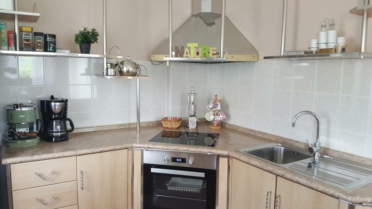 Appartamento House Tudic Drežnik Grad Esterno foto