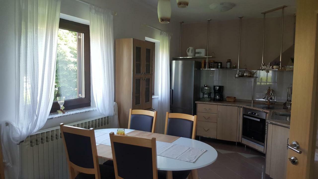 Appartamento House Tudic Drežnik Grad Esterno foto