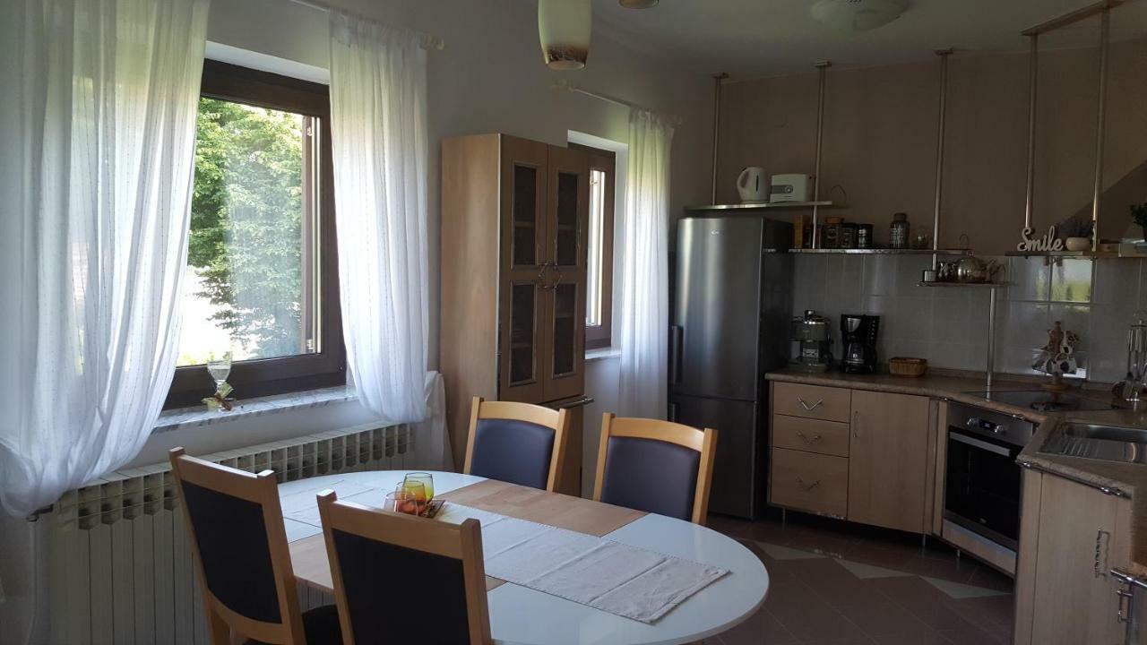 Appartamento House Tudic Drežnik Grad Esterno foto