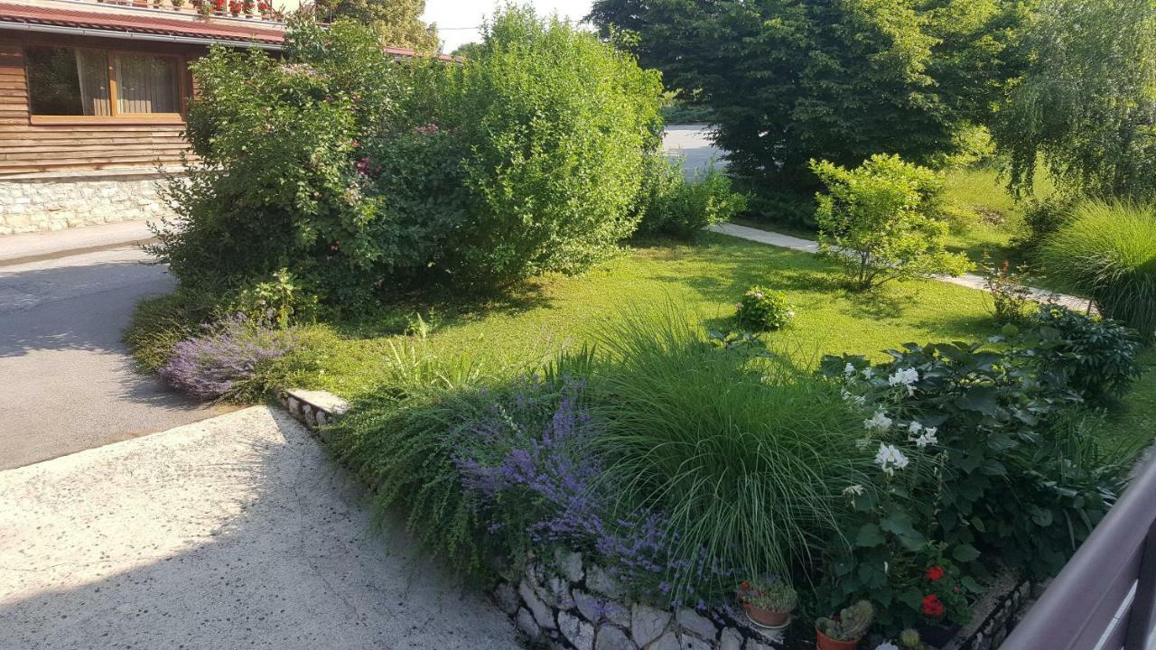 Appartamento House Tudic Drežnik Grad Esterno foto