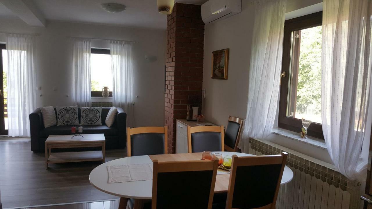 Appartamento House Tudic Drežnik Grad Esterno foto