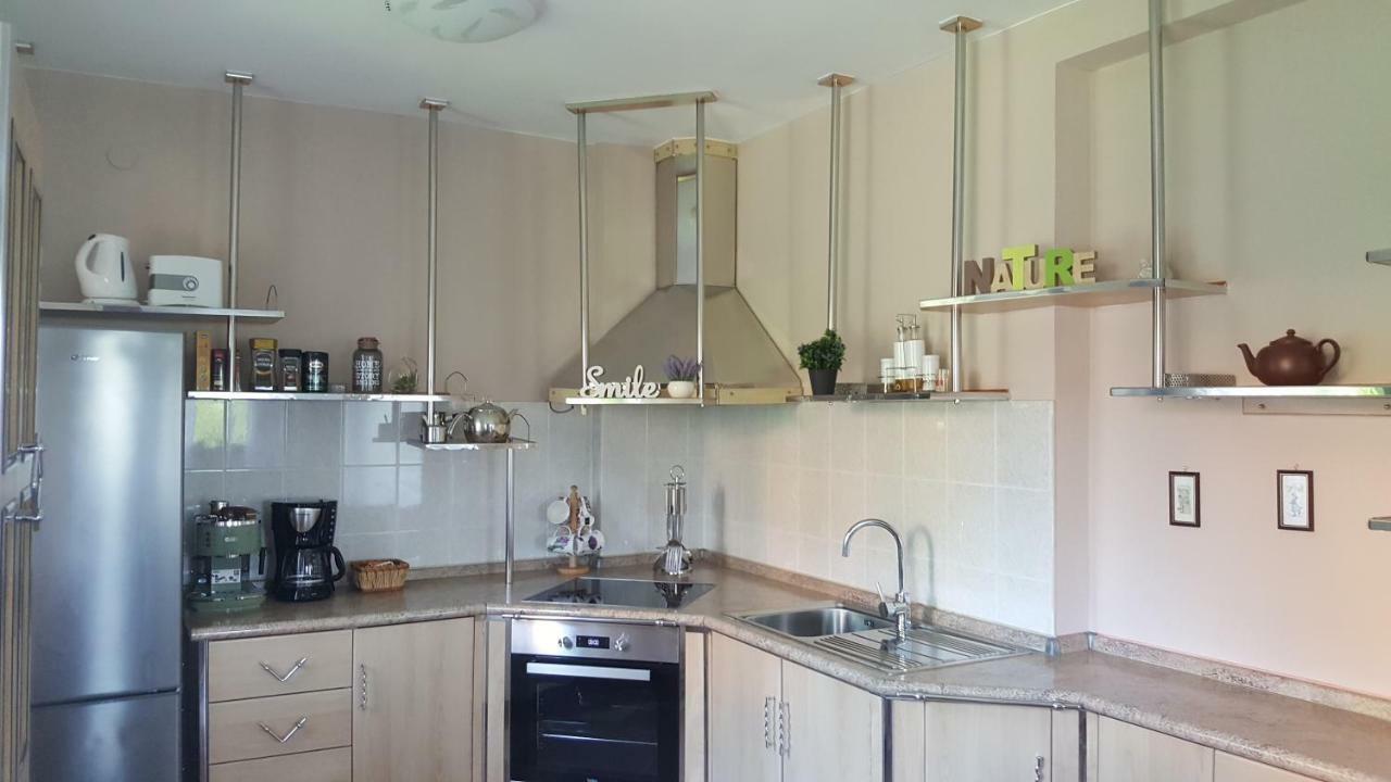 Appartamento House Tudic Drežnik Grad Esterno foto
