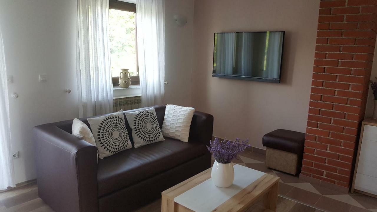 Appartamento House Tudic Drežnik Grad Esterno foto