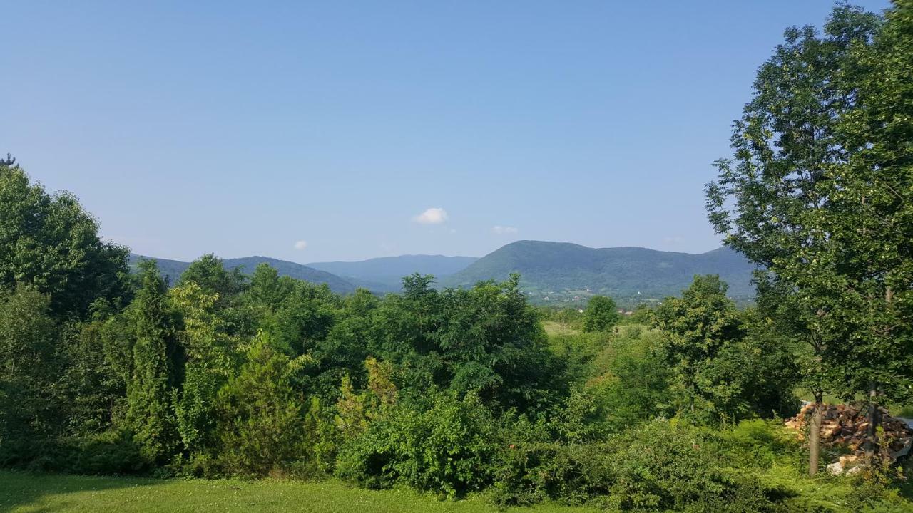 Appartamento House Tudic Drežnik Grad Esterno foto