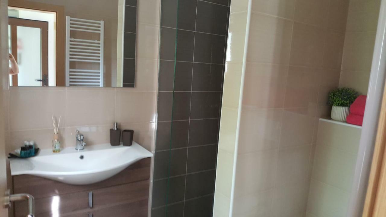 Appartamento House Tudic Drežnik Grad Esterno foto