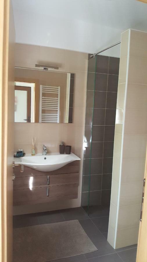 Appartamento House Tudic Drežnik Grad Esterno foto